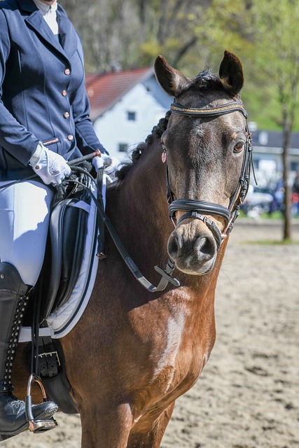 并抓住机会 并抓住机会