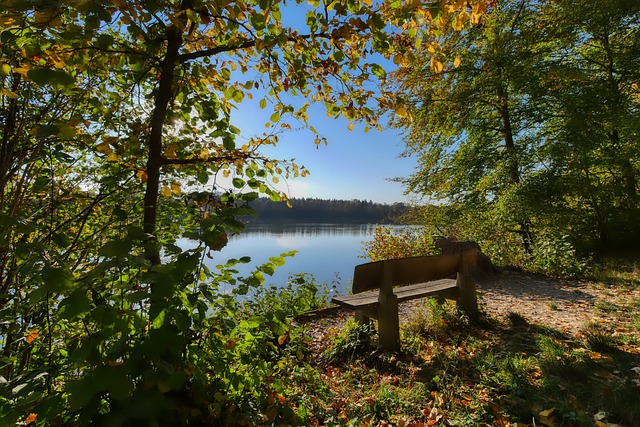 他们的成功 他们的成功
