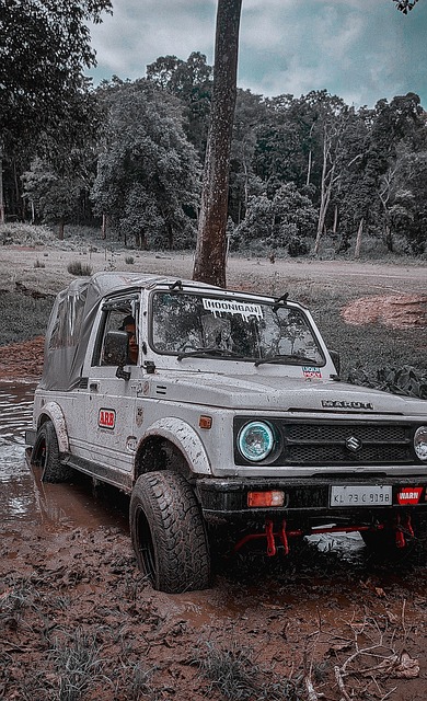 在當前世界 在當前世界