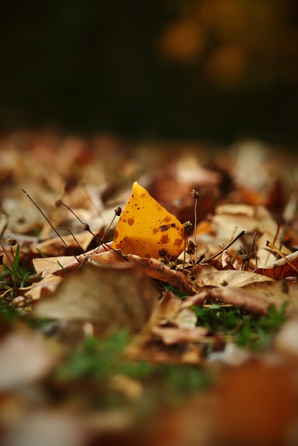 并推动积极 并推动积极