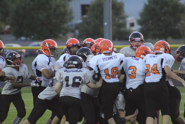 一獅的投手 一獅的投手