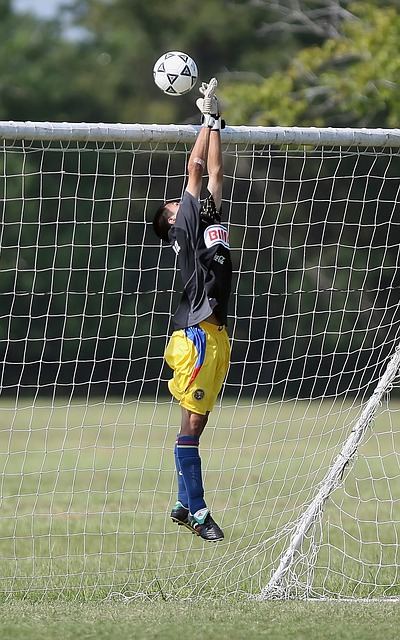 的稳定发挥 的稳定发挥