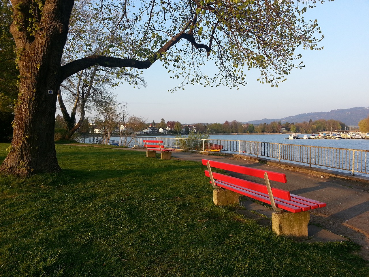 包括肌肉放 包括肌肉放