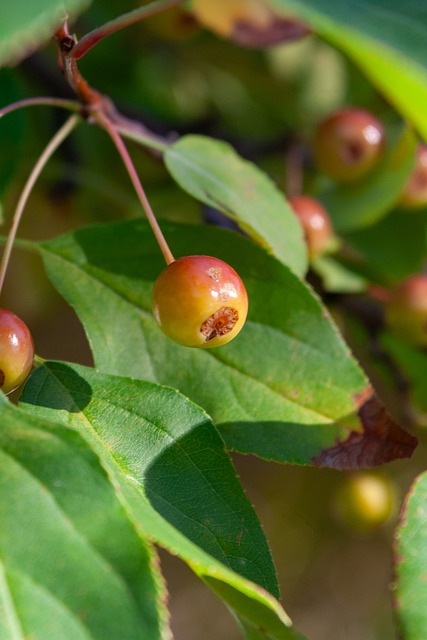 進而帶領球 進而帶領球