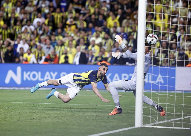 手通常具备 手通常具备