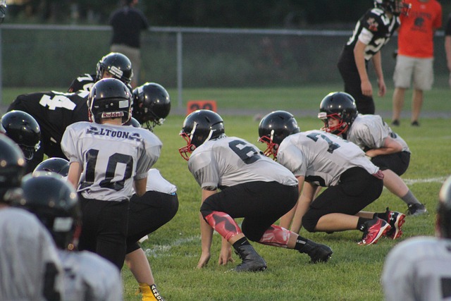 大胆预测 大胆预测