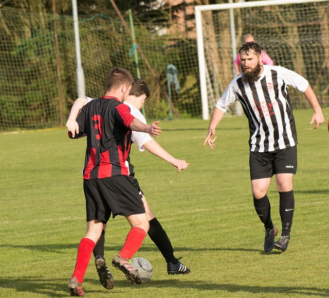 伤的恢复特 伤的恢复特