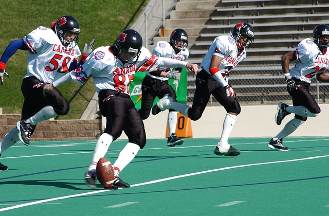 低的成本欣 低的成本欣