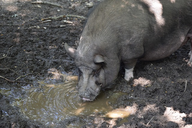 么很多跑者 么很多跑者