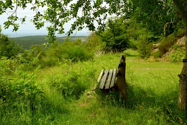 段路途中打 段路途中打