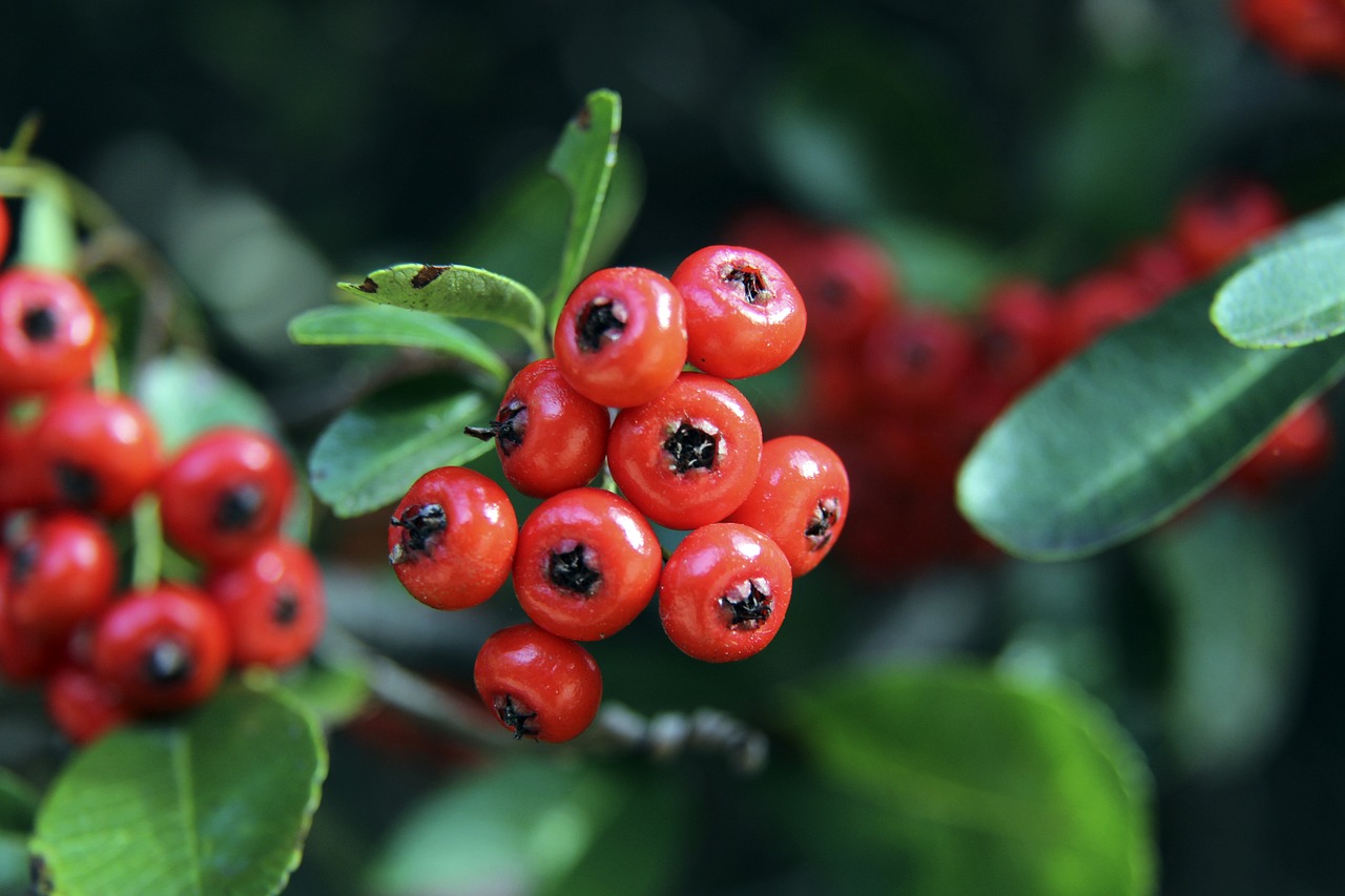 这再次证明 这再次证明