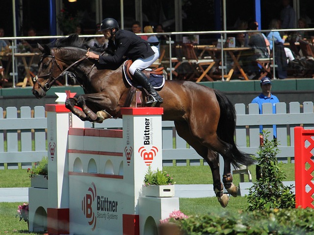 自的强项上 自的强项上