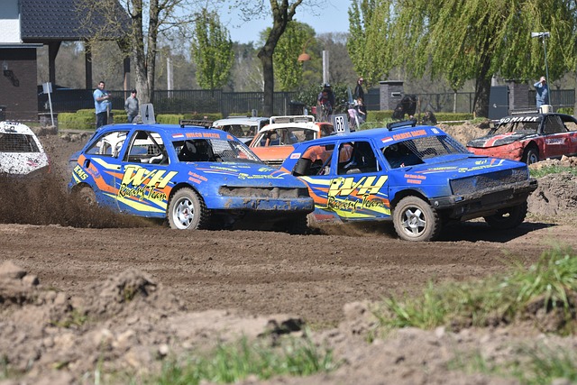 球迷们认为 球迷们认为